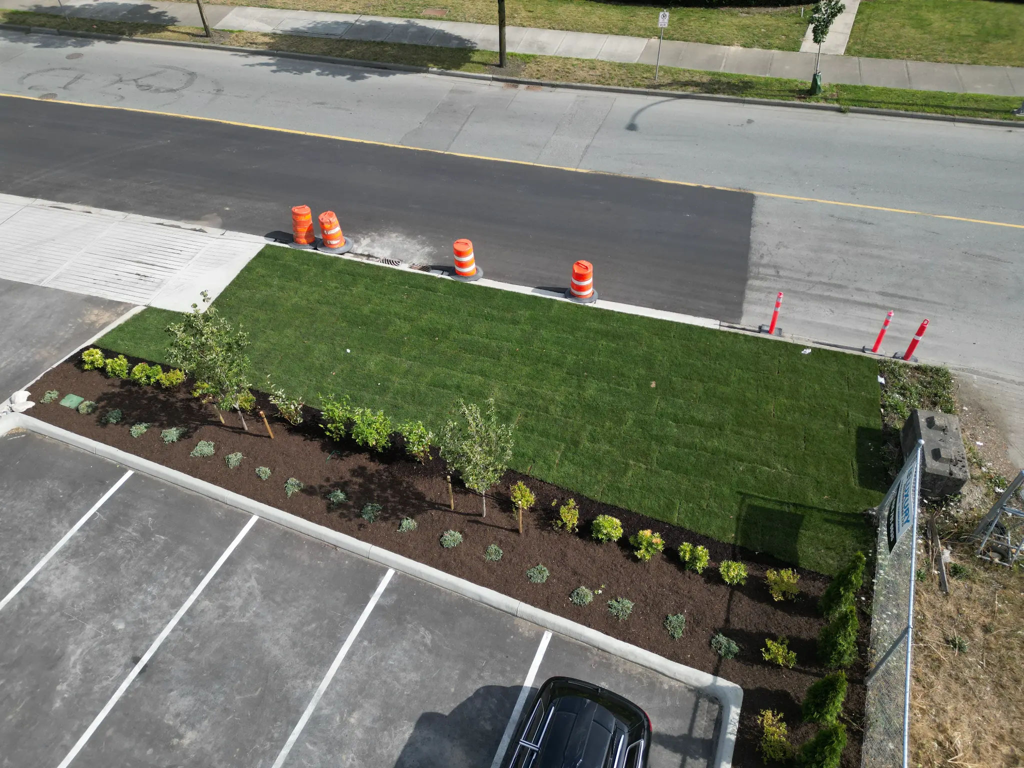 Fresh commercial sod and planting beds after landscape installation