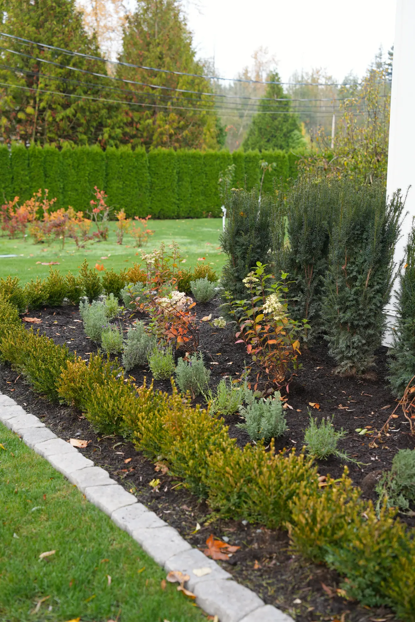 Ground-level estate landscape with premium lawn and plantings
