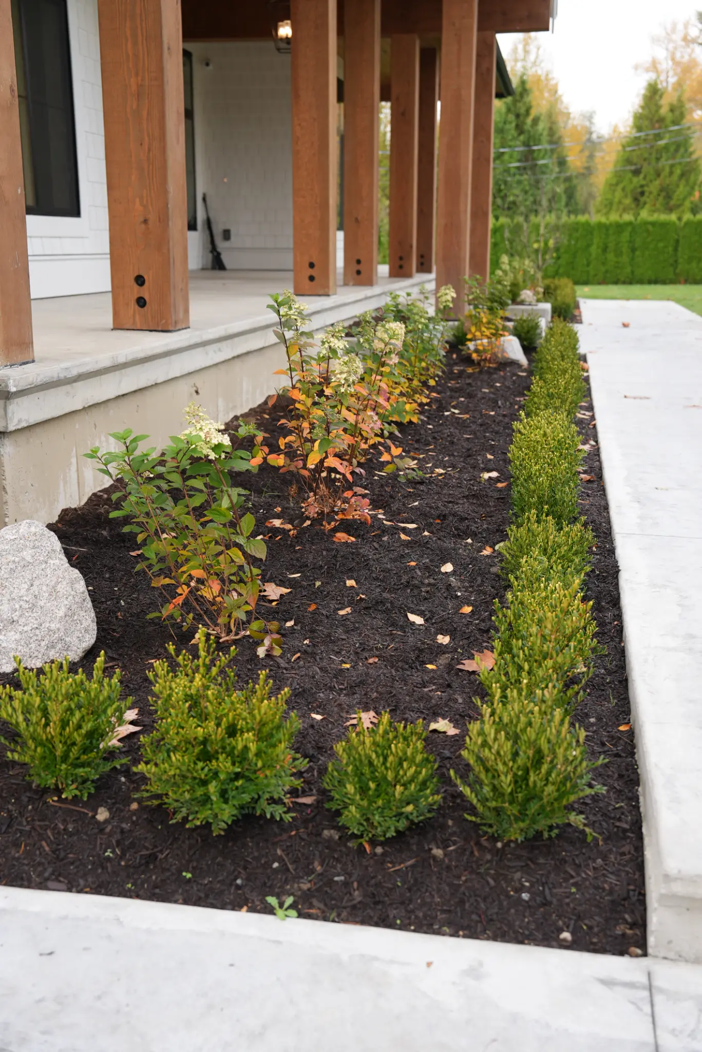 Ground-level detail of finished Langley estate plantings