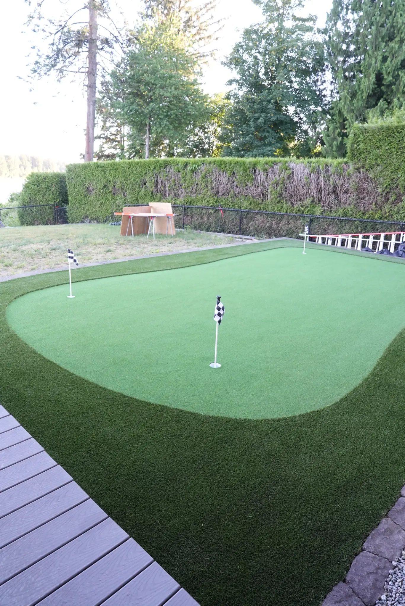 Detailed view of the professional putting surface and turf edge